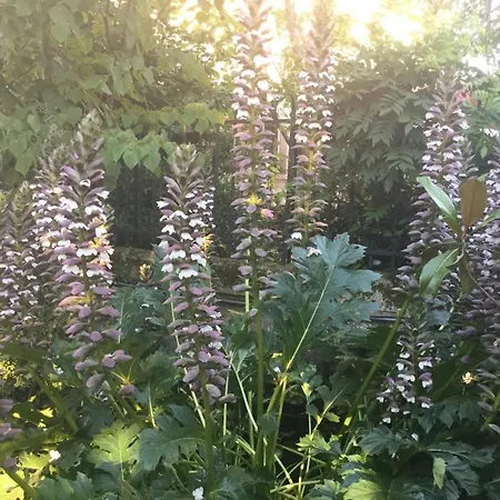 Les Tuileries De Chanteloup Penzion 3*